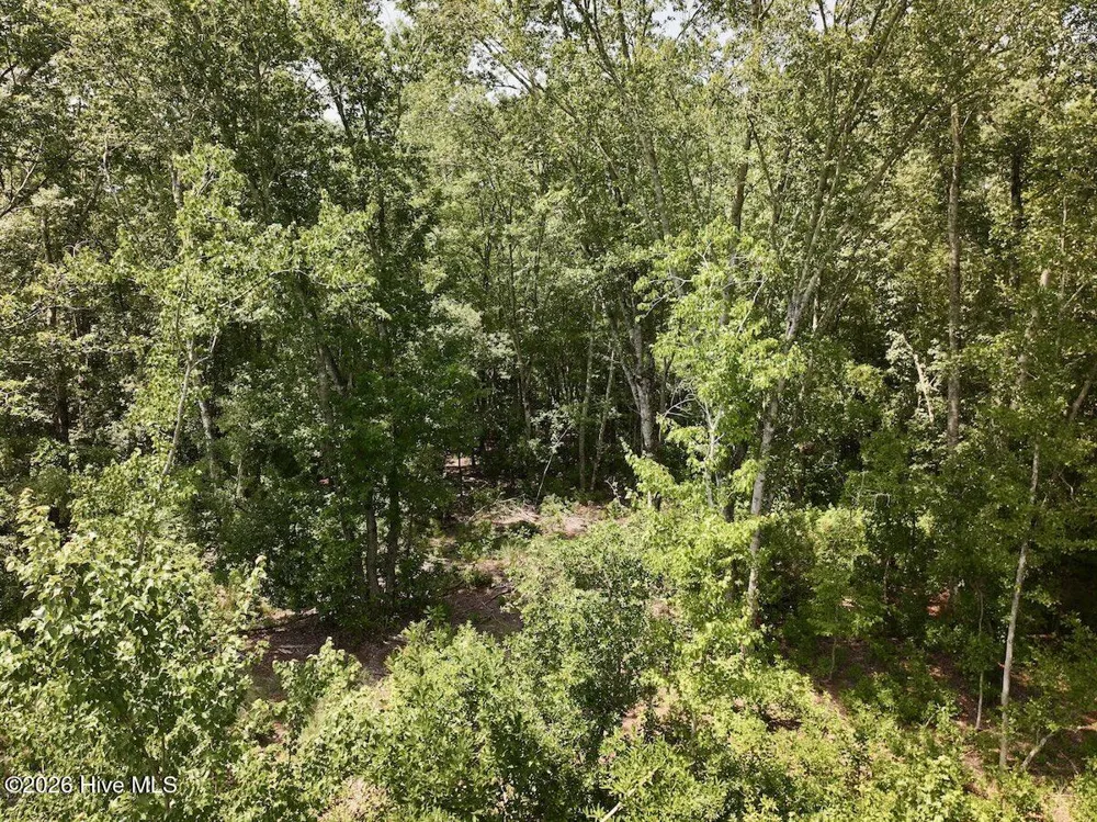 0 Guinea Mill Road Ernul, NC 28527