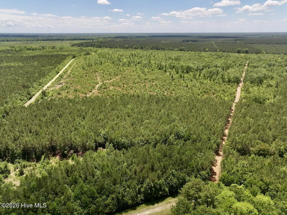 0 Guinea Mill Road Ernul, NC 28527