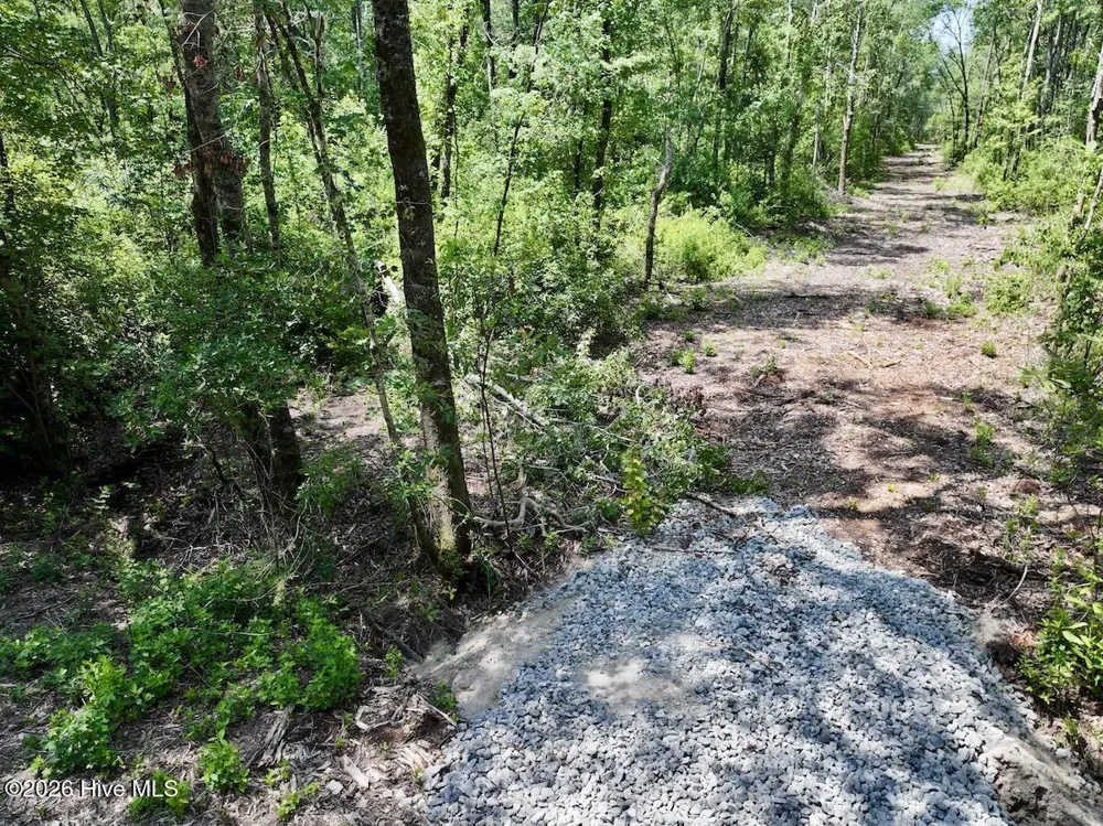 0 Guinea Mill Road Ernul, NC 28527