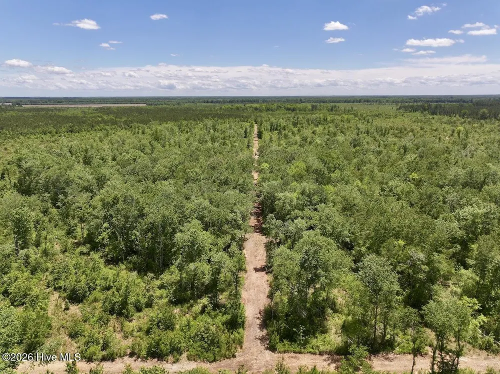 0 Guinea Mill Road Ernul, NC 28527