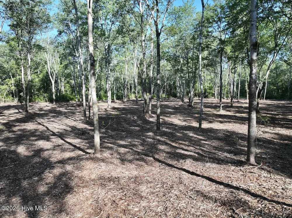 0 Guinea Mill Road Ernul, NC 28527