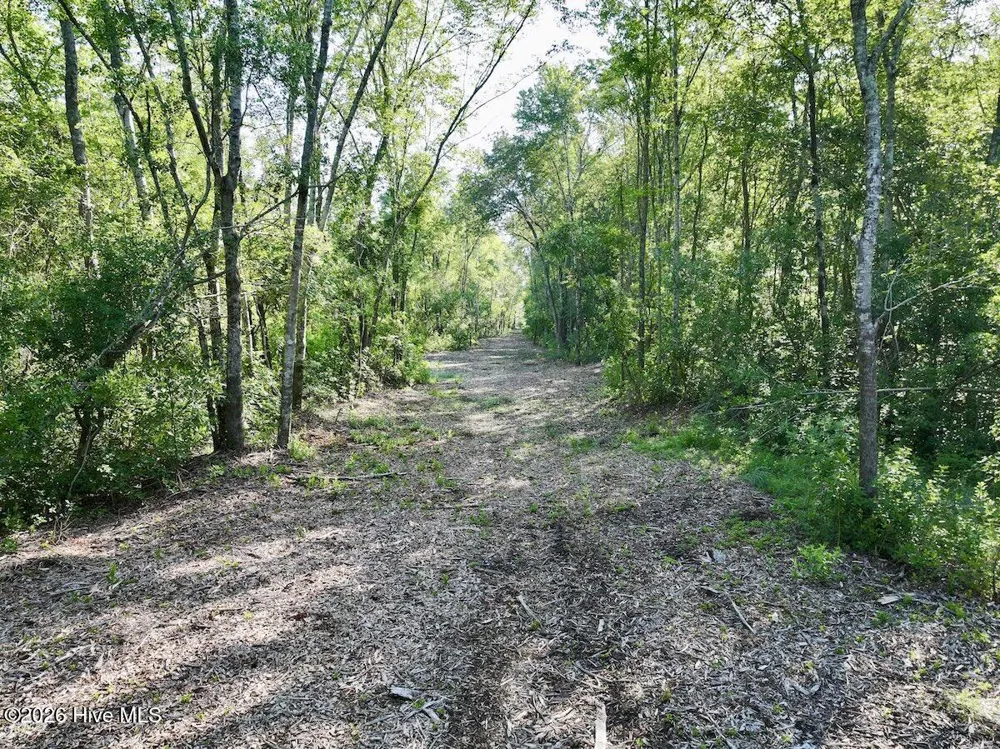 0 Guinea Mill Road Ernul, NC 28527