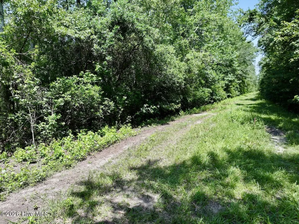 0 Guinea Mill Road Ernul, NC 28527