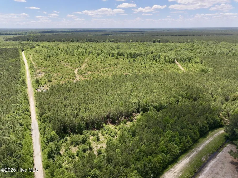 0 Guinea Mill Road Ernul, NC 28527