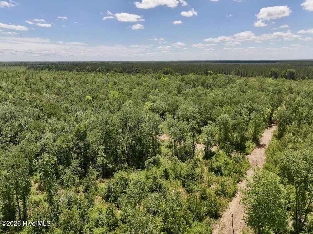 0 Guinea Mill Road Ernul, NC 28527