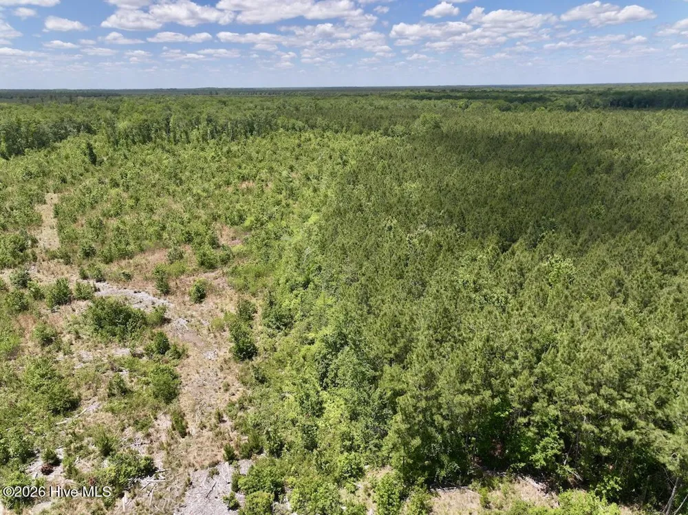 0 Guinea Mill Road Ernul, NC 28527