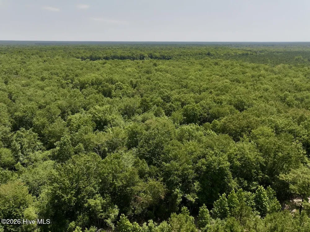 0 Guinea Mill Road Ernul, NC 28527
