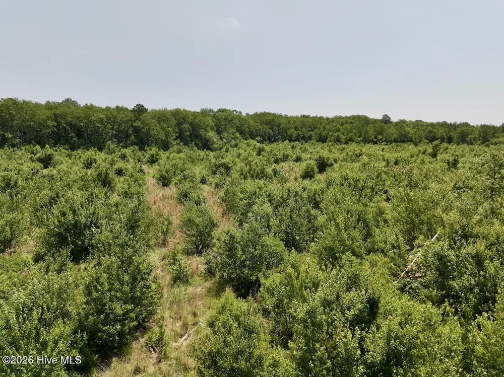 0 Guinea Mill Road Ernul, NC 28527