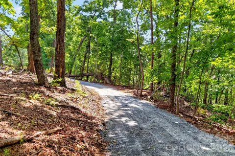 000 Buffalo Shoals Road