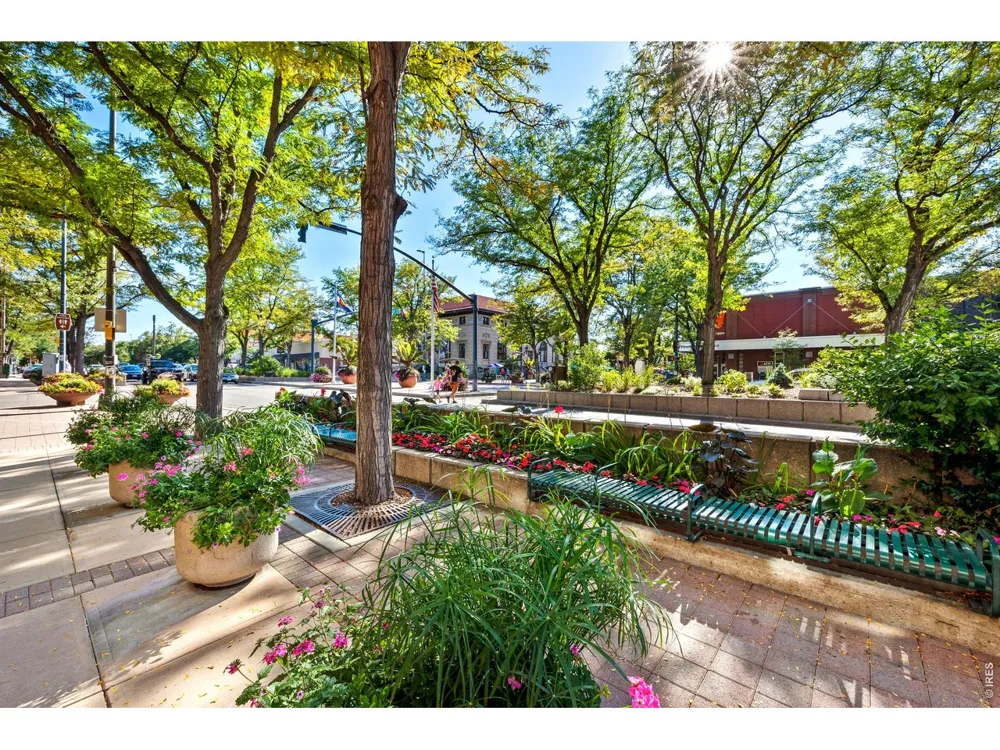 1014 Andrews Peak Drive #B105 Fort Collins, CO 80521