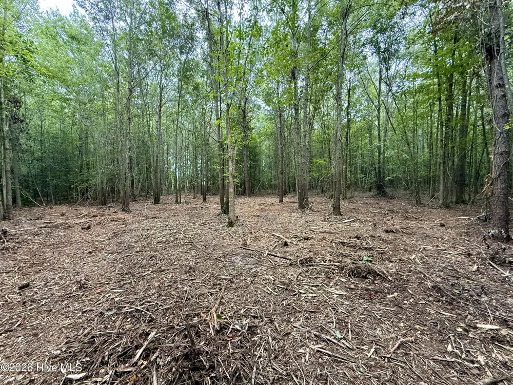 Lot 2 Mobley Road Lucama, NC 27851