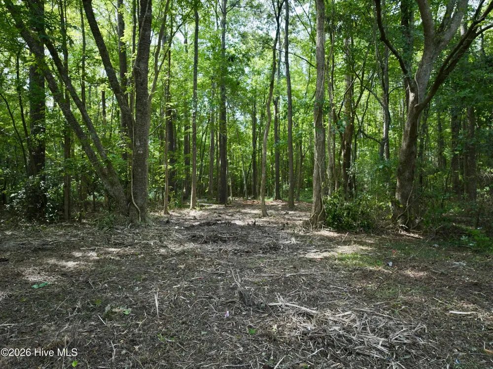 Lot 2 Mobley Road Lucama, NC 27851
