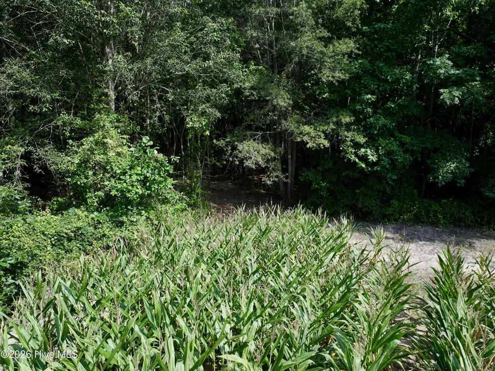 Lot 2 Mobley Road Lucama, NC 27851