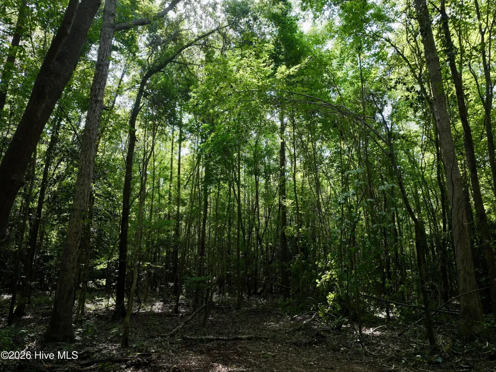 Lot 2 Mobley Road Lucama, NC 27851