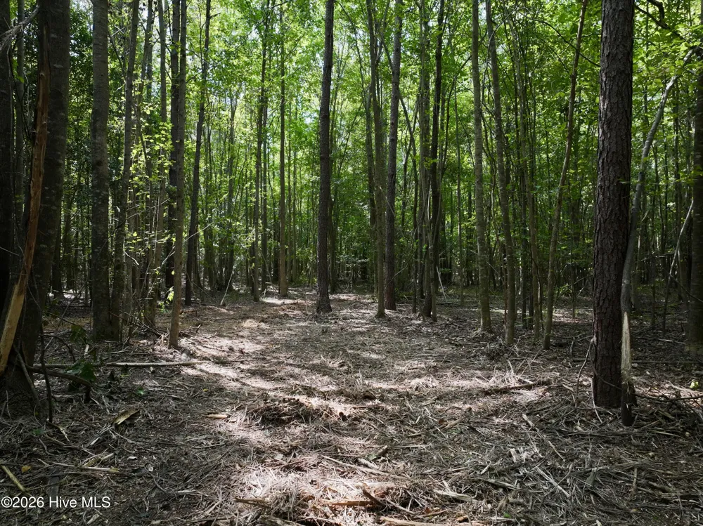 Lot 2 Mobley Road Lucama, NC 27851