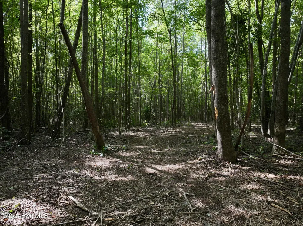 Lot 2 Mobley Road Lucama, NC 27851