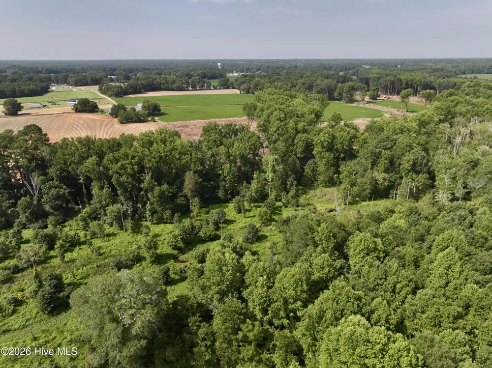 Lot 2 Mobley Road Lucama, NC 27851