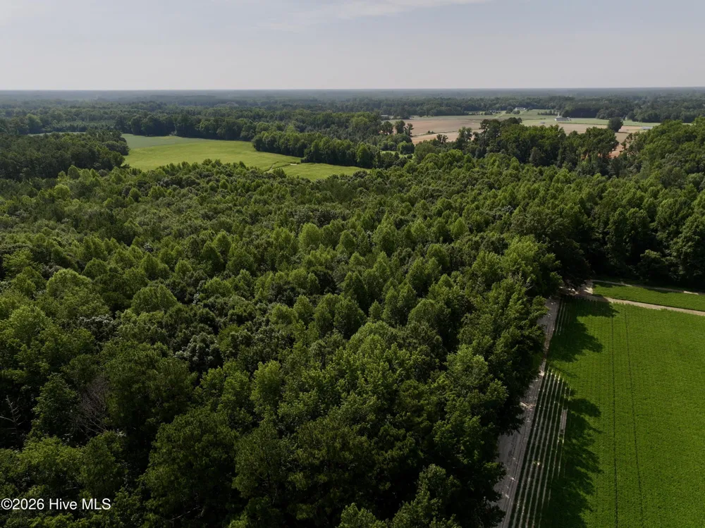 Lot 2 Mobley Road Lucama, NC 27851