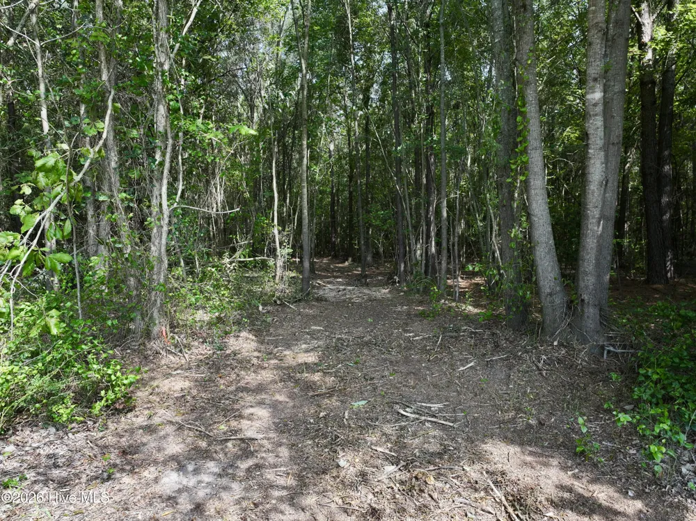 Lot 2 Mobley Road Lucama, NC 27851