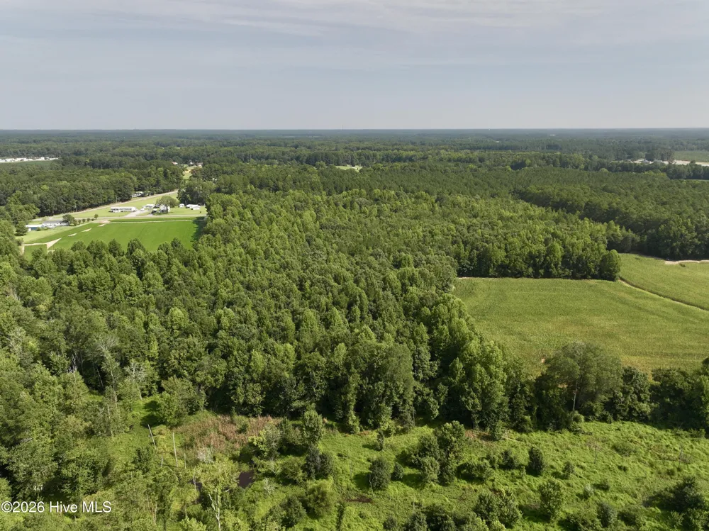 Lot 2 Mobley Road Lucama, NC 27851