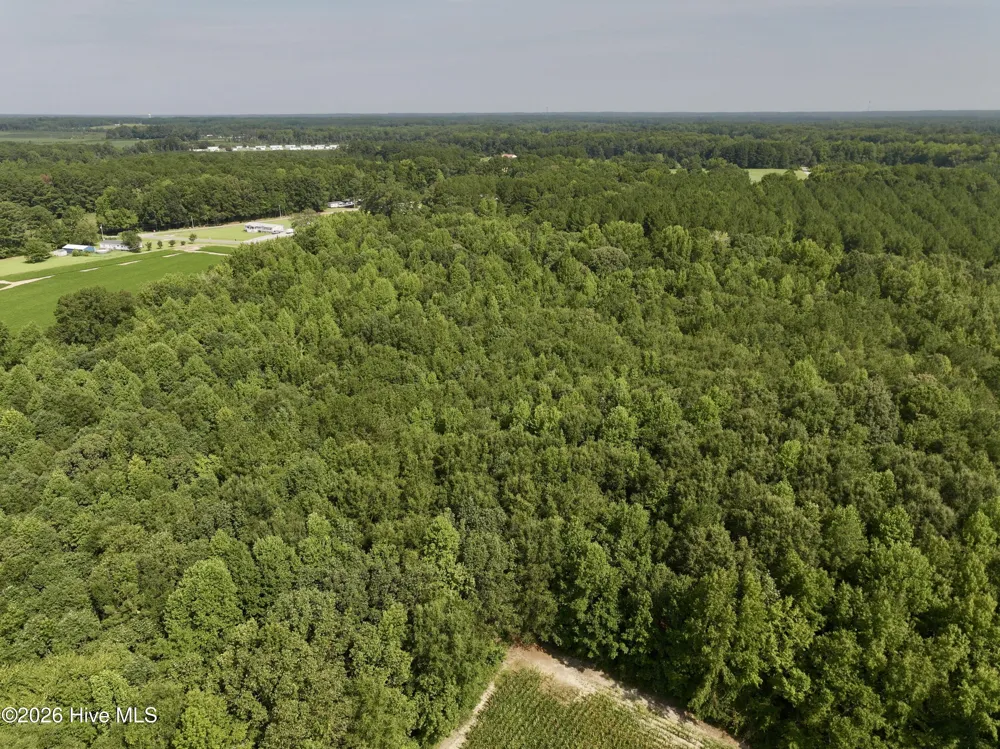 Lot 2 Mobley Road Lucama, NC 27851