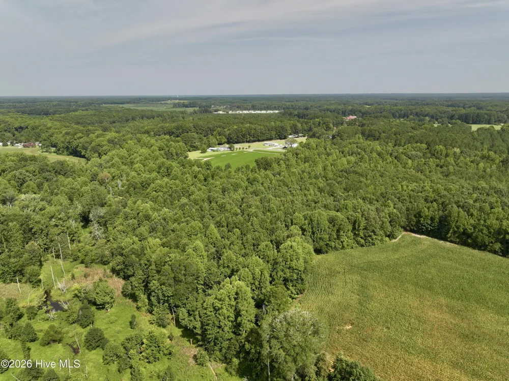 Lot 2 Mobley Road Lucama, NC 27851