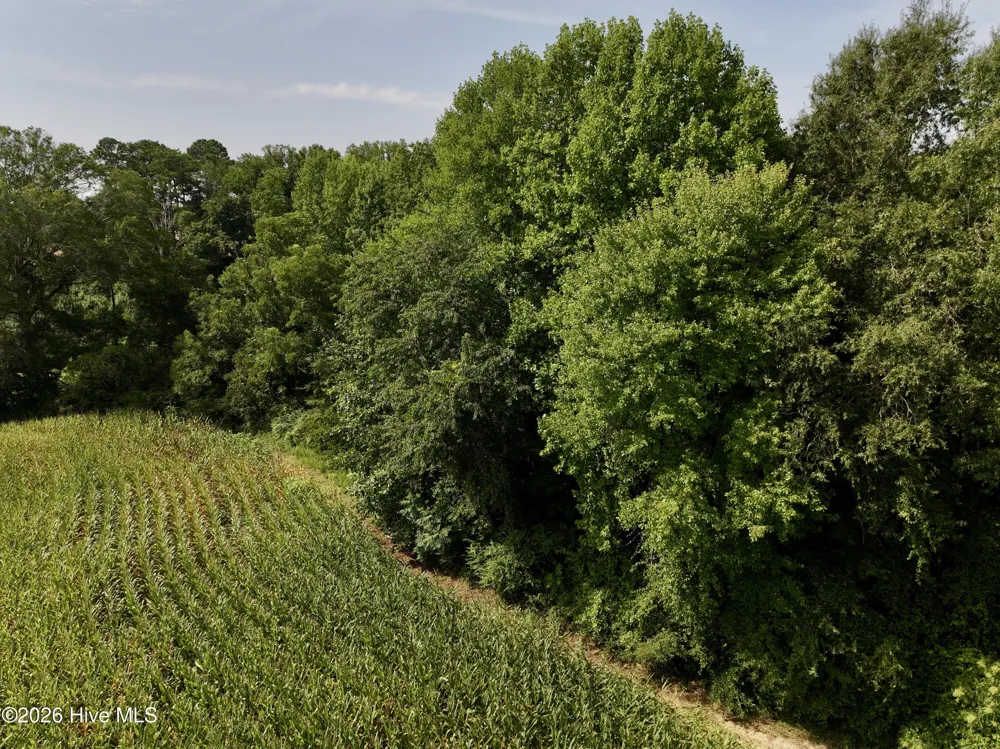 Lot 2 Mobley Road Lucama, NC 27851