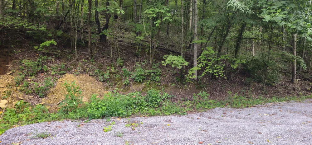 2196 Baker Station Rd Goodlettsville, TN 37072