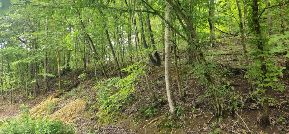 2196 Baker Station Rd Goodlettsville, TN 37072