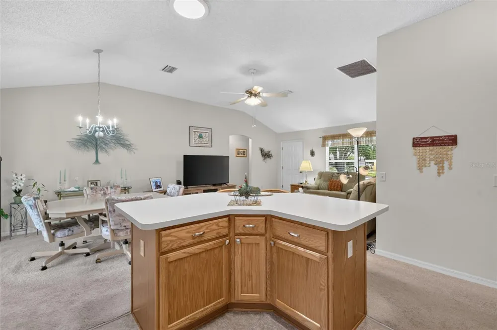 1276 NORTHBROOK PLACE The Villages, FL 32162