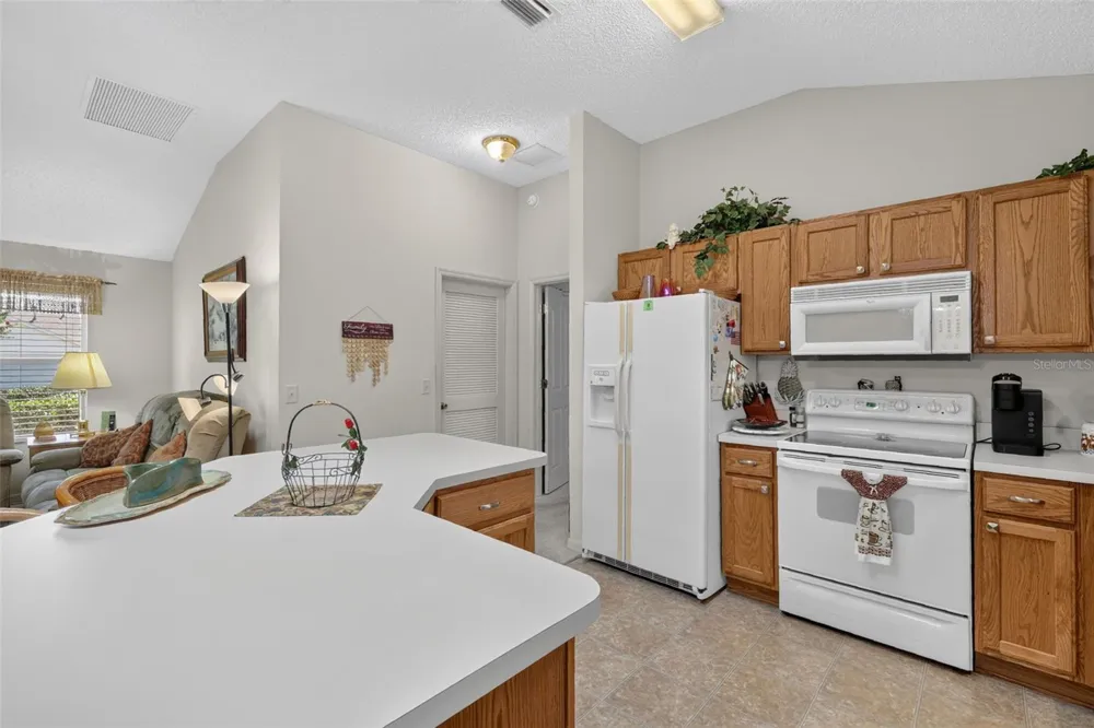 1276 NORTHBROOK PLACE The Villages, FL 32162