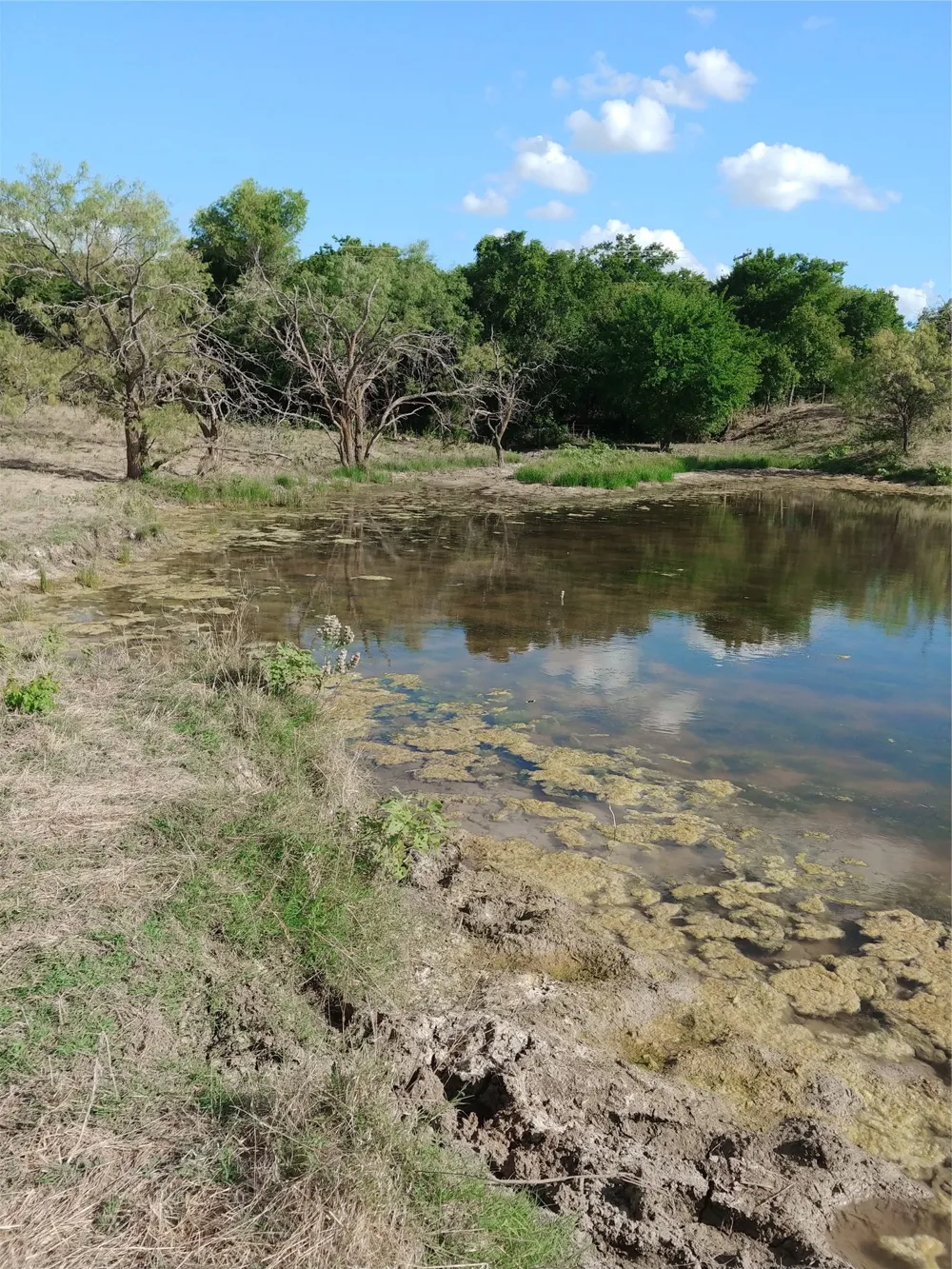 Private Road 451 Grandview, TX 76050