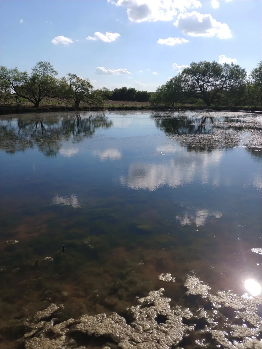 Private Road 451 Grandview, TX 76050