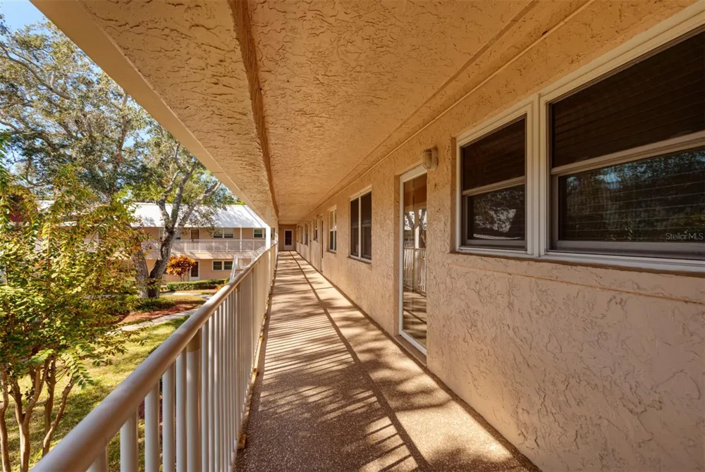 10036 63RD AVENUE #17 St Petersburg, FL 33708