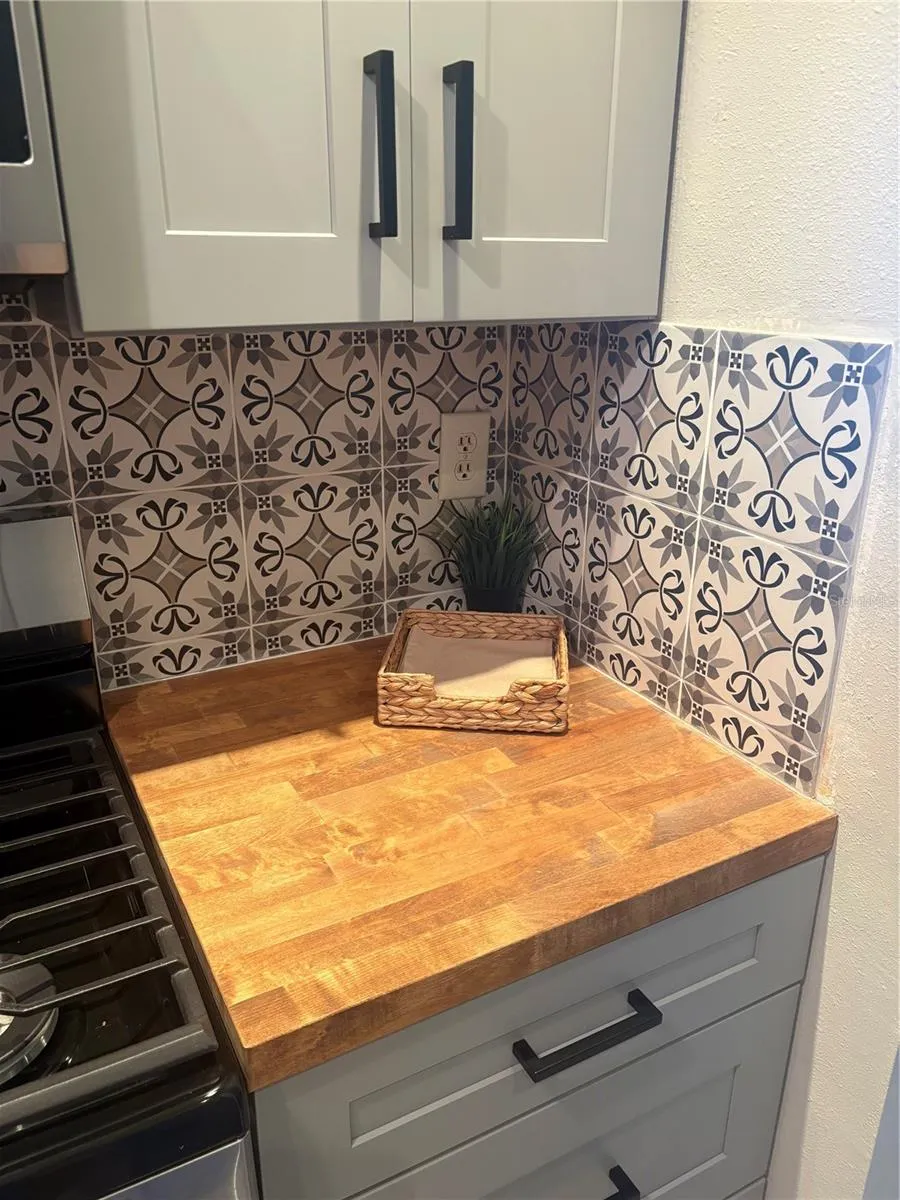 10036 63RD AVENUE #17 St Petersburg, FL 33708