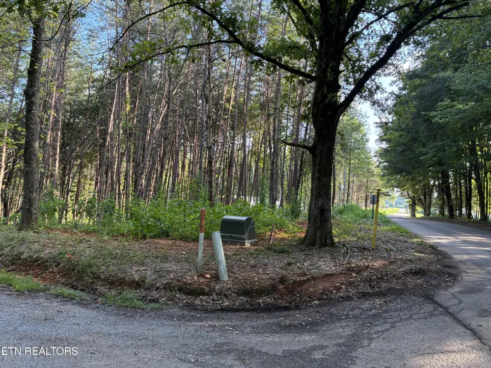 100 County Road 262 Niota, TN 37826