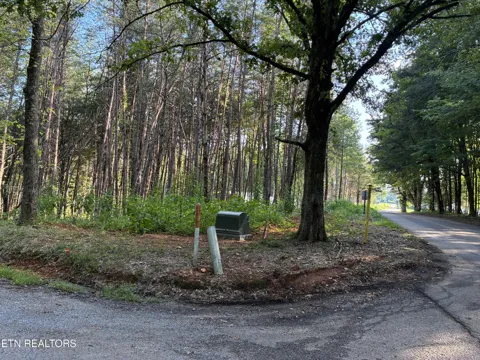 100 County Road 262