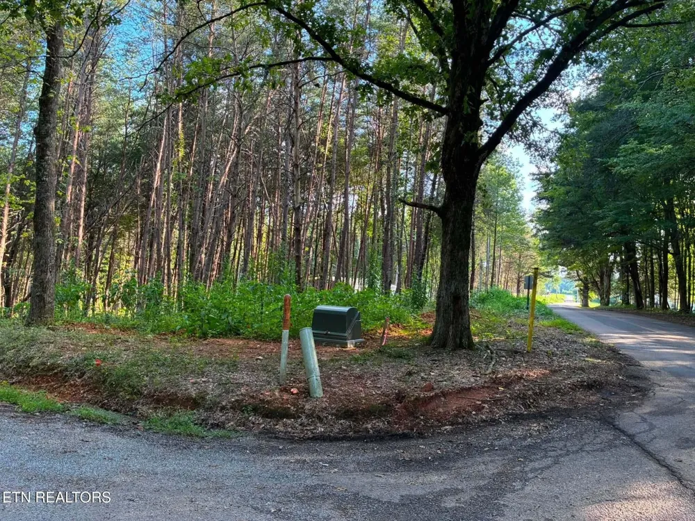 100 County Road 262 Niota, TN 37826