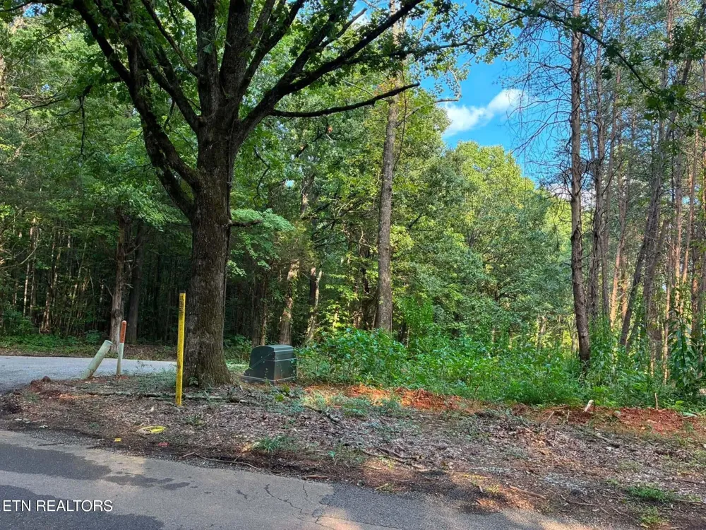 100 County Road 262 Niota, TN 37826