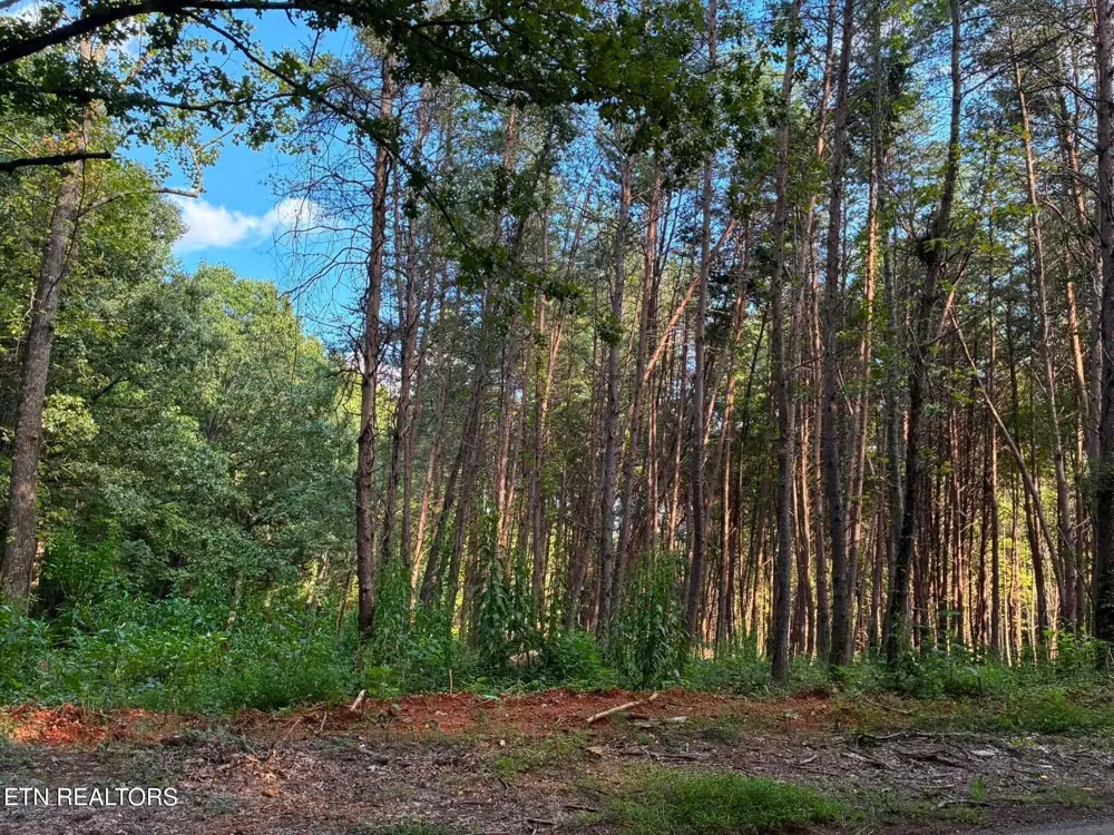 100 County Road 262 Niota, TN 37826