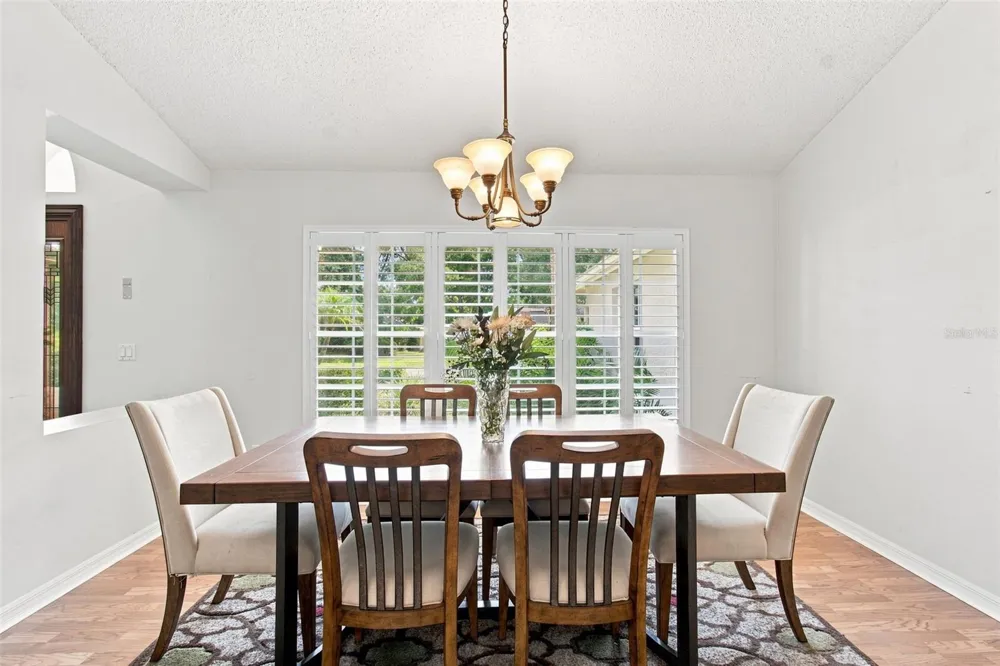 16804 SHEFFIELD PARK DRIVE Lutz, FL 33549