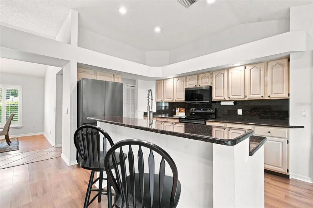 16804 SHEFFIELD PARK DRIVE Lutz, FL 33549