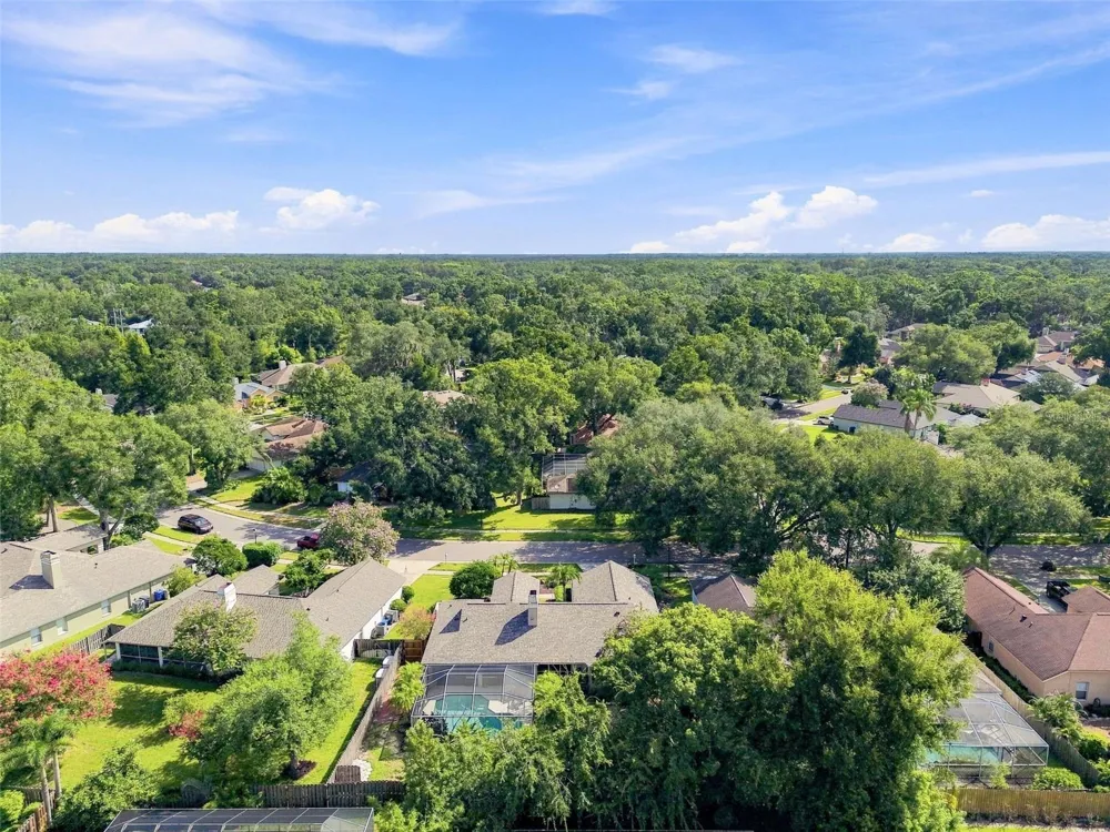 16804 SHEFFIELD PARK DRIVE Lutz, FL 33549