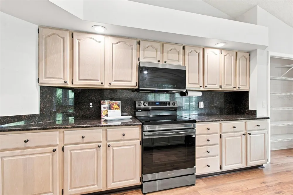 16804 SHEFFIELD PARK DRIVE Lutz, FL 33549