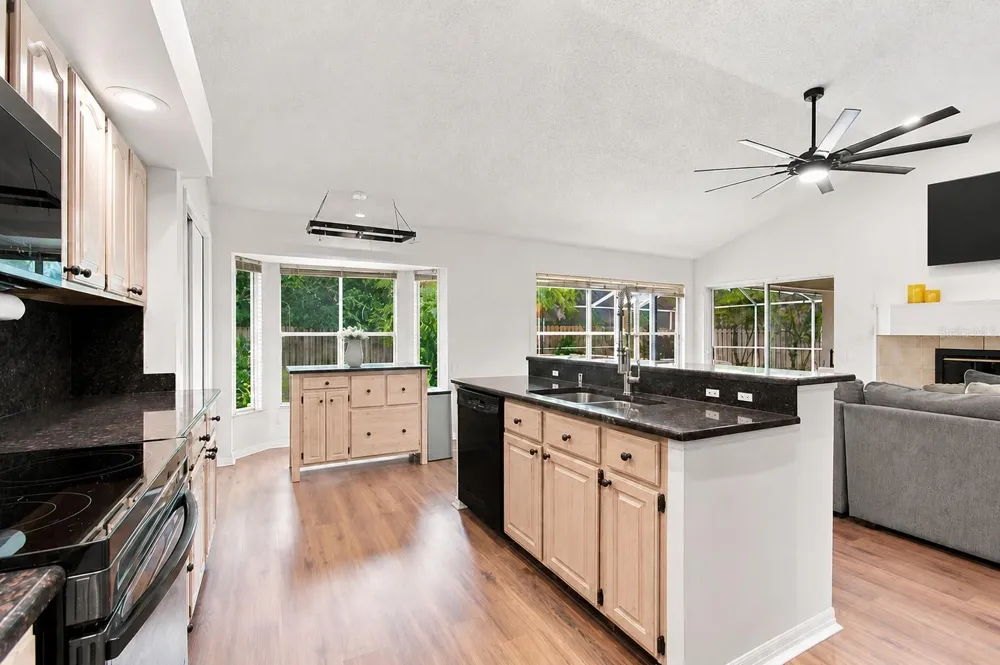16804 SHEFFIELD PARK DRIVE Lutz, FL 33549