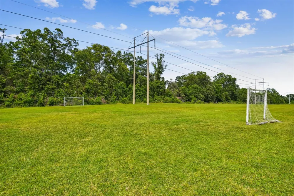 16804 SHEFFIELD PARK DRIVE Lutz, FL 33549