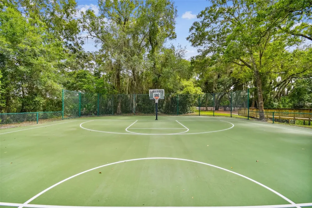 16804 SHEFFIELD PARK DRIVE Lutz, FL 33549