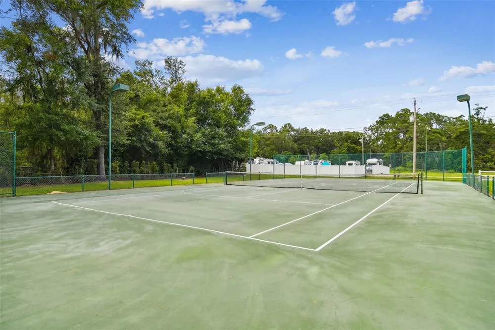 16804 SHEFFIELD PARK DRIVE Lutz, FL 33549