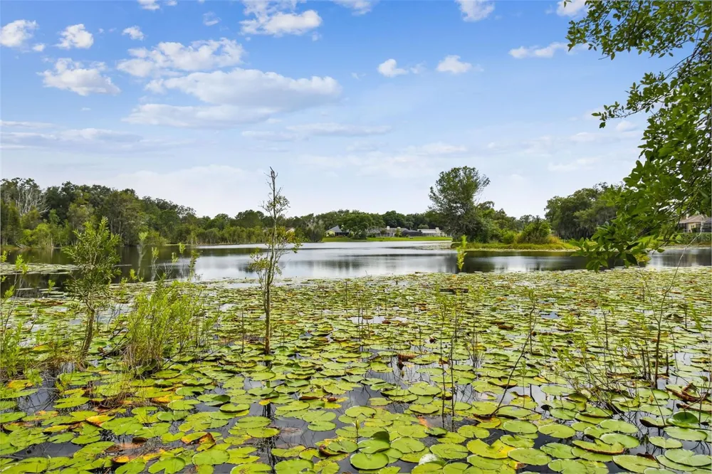 16804 SHEFFIELD PARK DRIVE Lutz, FL 33549