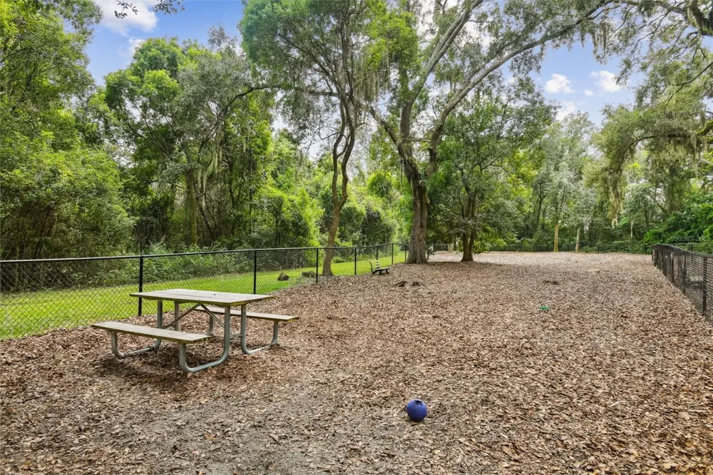 16804 SHEFFIELD PARK DRIVE Lutz, FL 33549